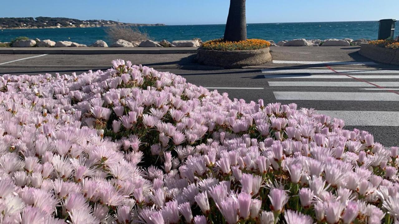 Les Appartements De La Marina Sanary-sur-Mer Exterior foto